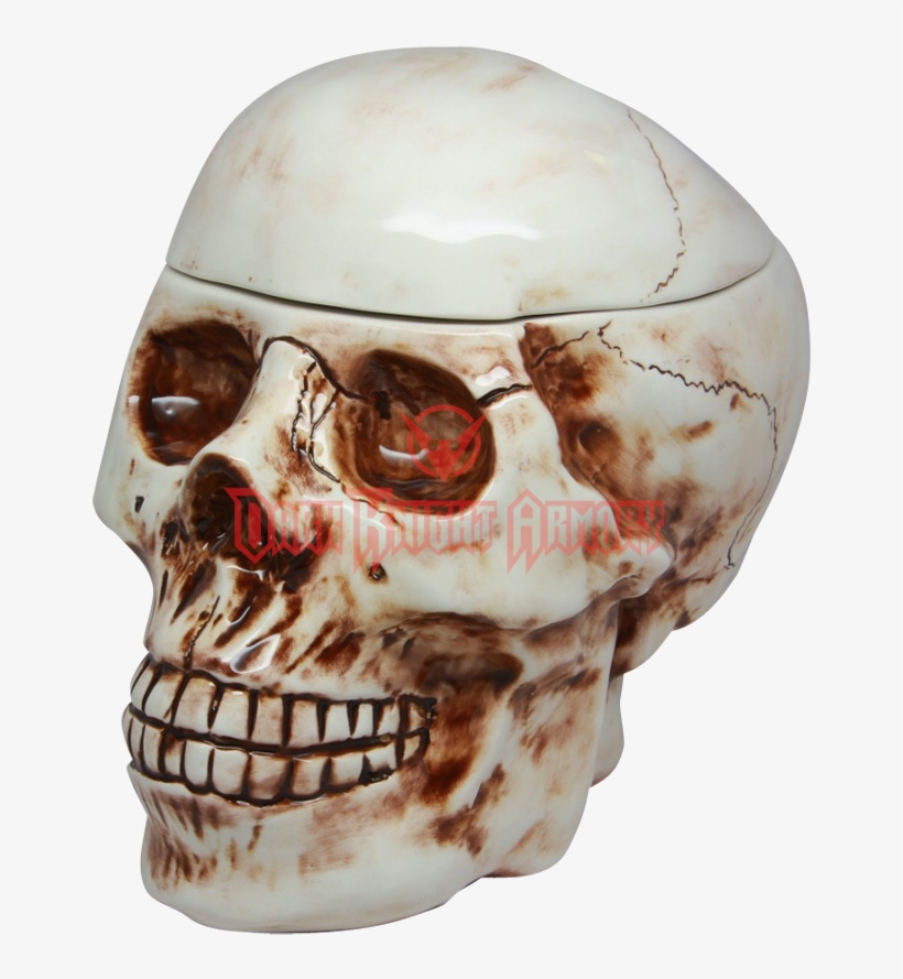 Pacific Trading Skull Cookie Jar, transparent png