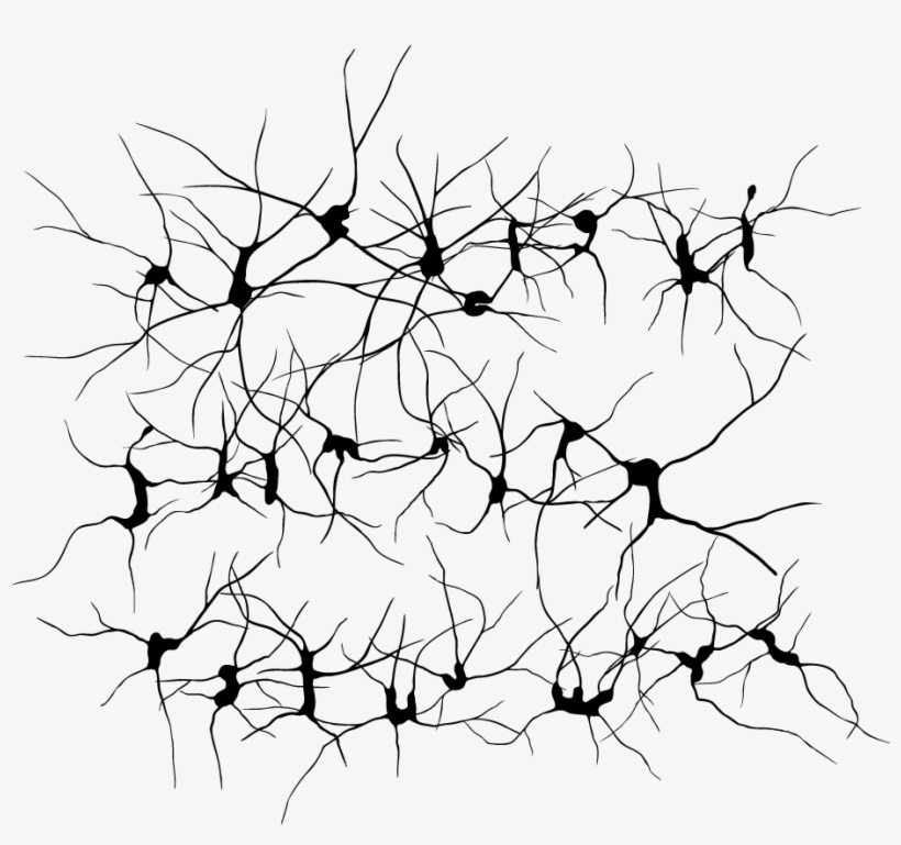 Download - Neurons Png, transparent png