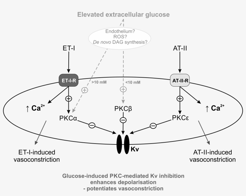 University Of Leicester, transparent png
