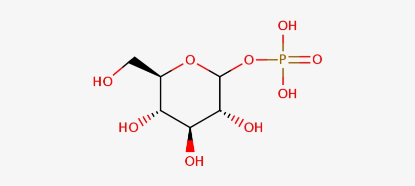 Thumb - Sugar, transparent png