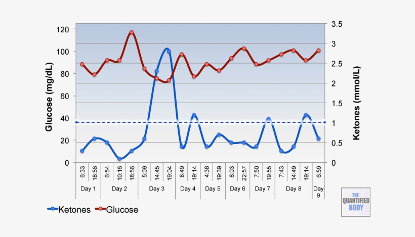 Blood Glucose & Ketone Levels At Different Times Of - Intermittent Fasting Blood Sugar, transparent png