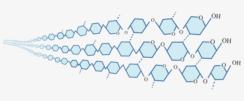 18 Nov 2014 - Title Page, transparent png