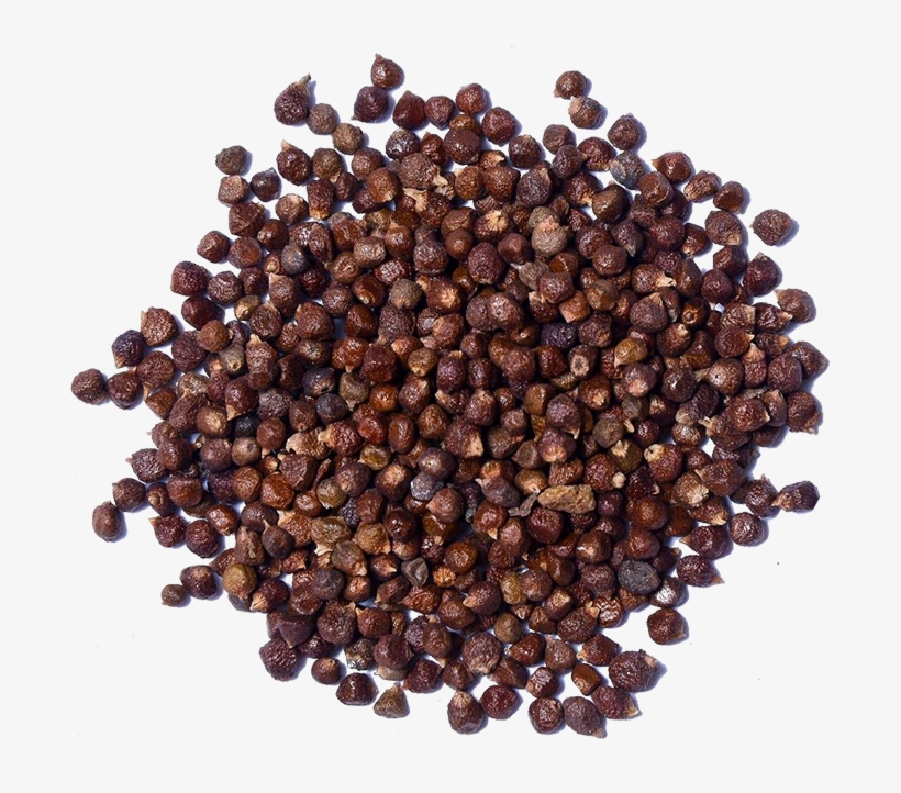 Grains Of Paradise, transparent png