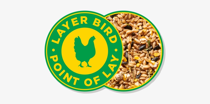 Grains And Greens - No Racism Sign, transparent png