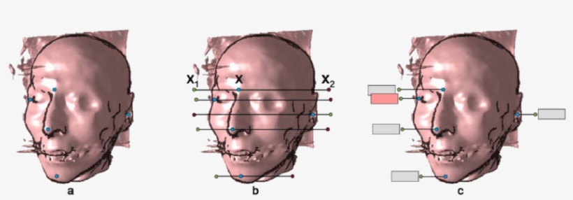 Projection Of The Anchor Points (b) - Illustration, transparent png