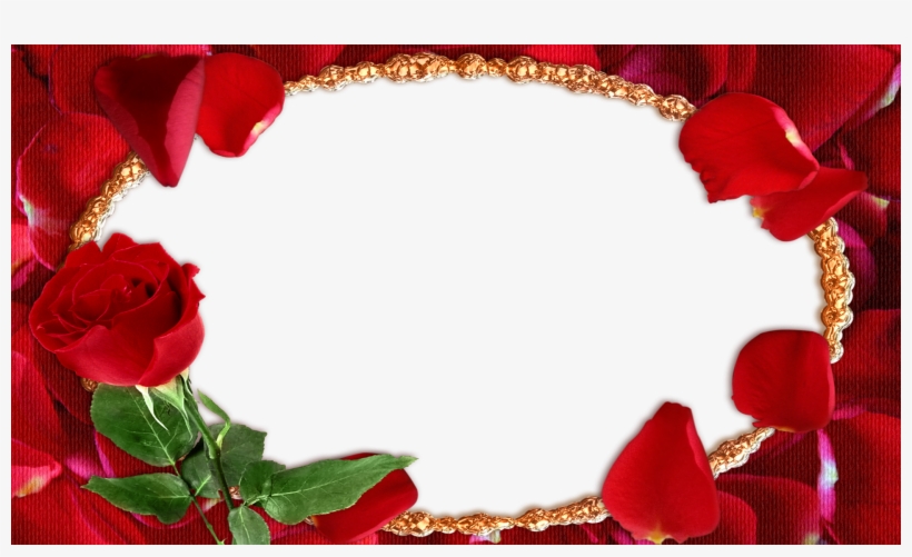 Molduras Dia Dos Namorados Em Hd E Fullhd - Moldura Com Rosas Vermelhas, transparent png