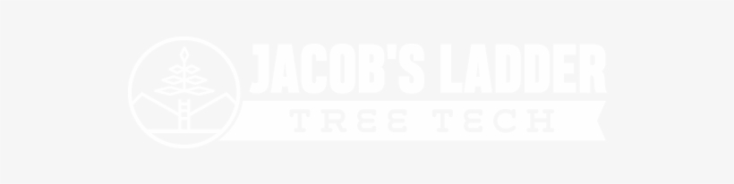 Jacob's Ladder Tree Tech, transparent png