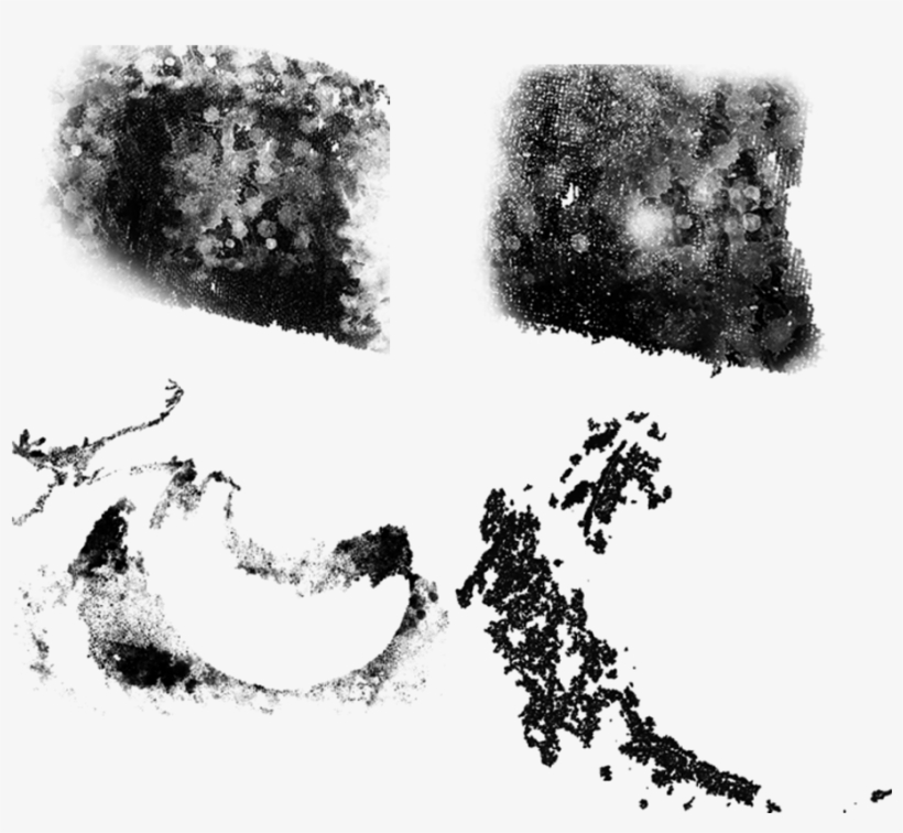 Set Of 4 Grunge Brush By Famenxt - Brush, transparent png