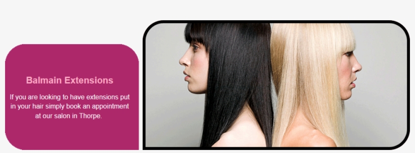 Gianna Zagni Hair And Beauty Salon - Extensions Remy Straight 7pcs Clip In Real Head Human, transparent png