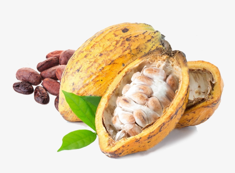Cacao Png, transparent png