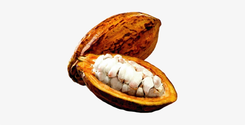 Beneficios Del Licor De Cacao, transparent png