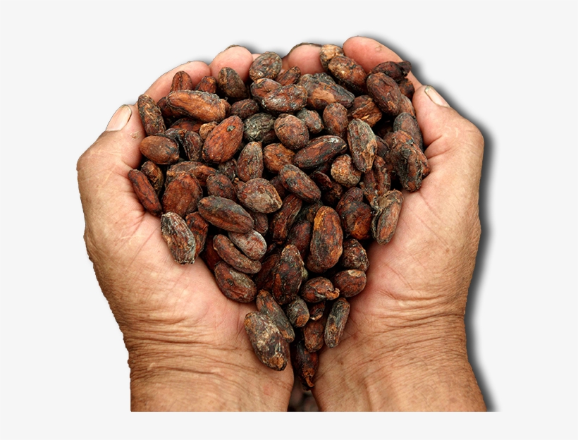 Romani People, transparent png