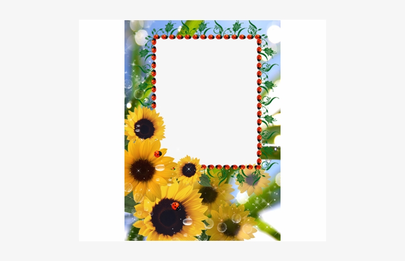Marcos Para Fotos Con Girasoles, transparent png