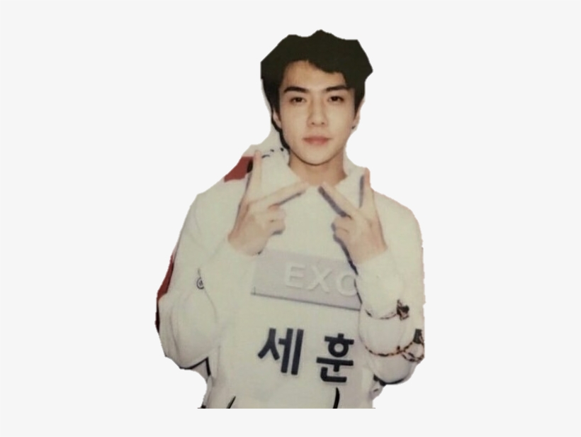 Report Abuse - Exo, transparent png