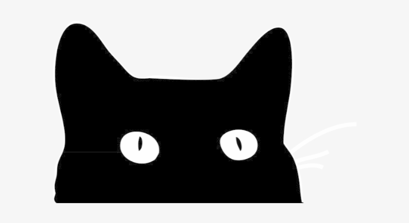 Brenbri Properties - Contact Us - Black Cat By Good Sense, transparent png