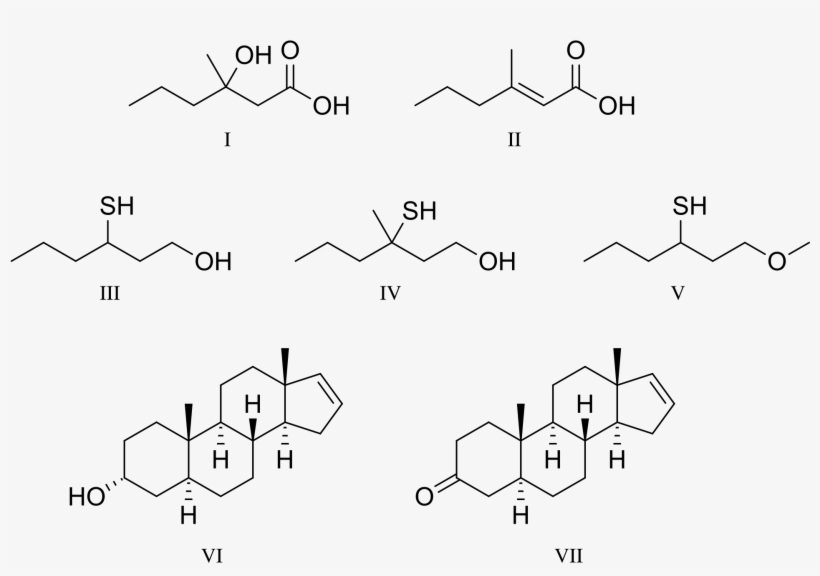 Carboxylic Acids - Testosterone Molecule Throw Blanket, transparent png