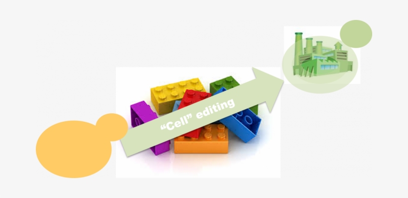 Img Tema Nuno Mira - Graphic Design, transparent png