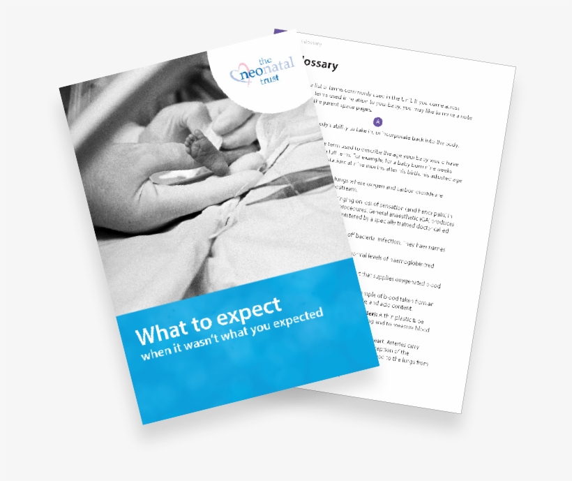 Book Cover & Page - Brochure, transparent png