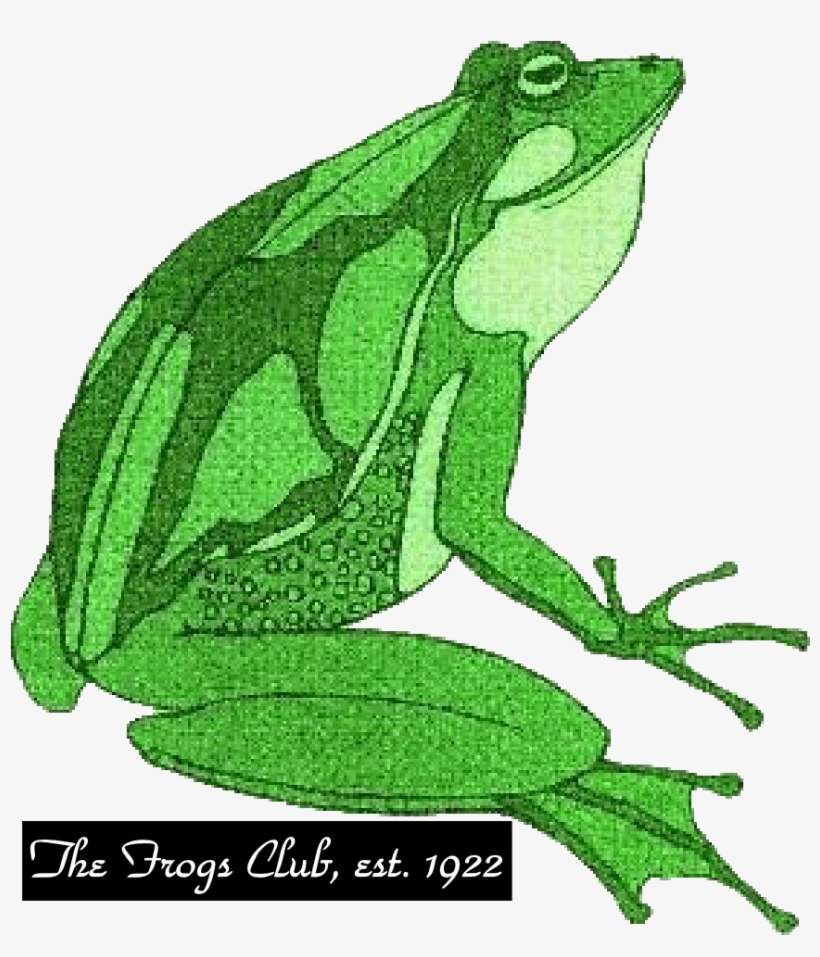 Coal Website - Frog - The Frogs, transparent png
