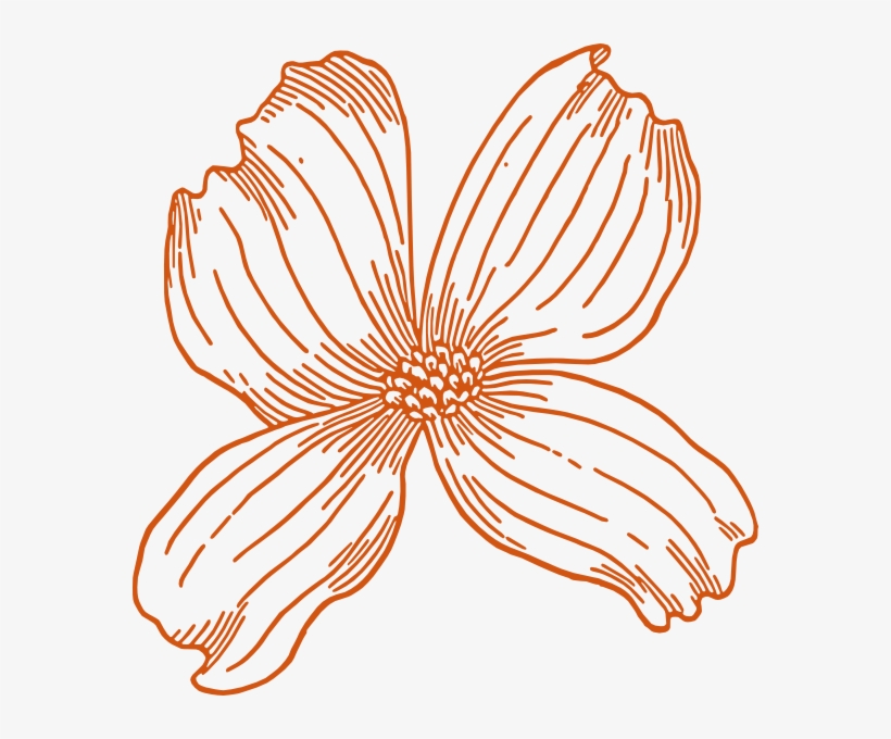 How To Set Use Burnt Orange Flower Clipart - Adult Coloring For Mother: Relaxing Adult Coloring, transparent png