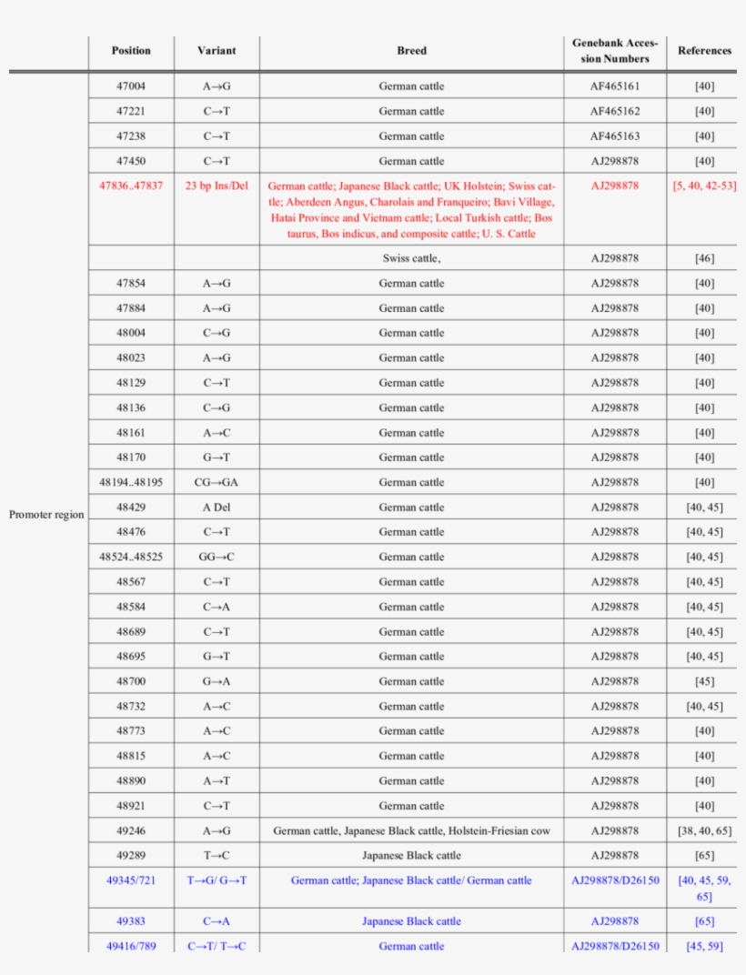 Sequence Variants In The Bovine Prp Gene - Kontera, transparent png