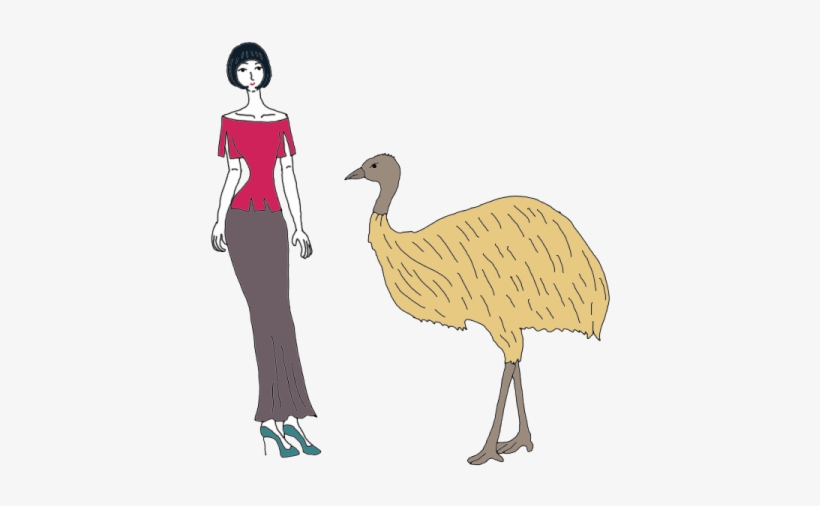 Emu - Flightless Bird, transparent png