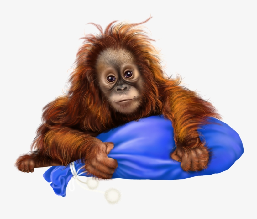 Мобильный Liveinternet Illustratie - Art Orang Utan Png, transparent png