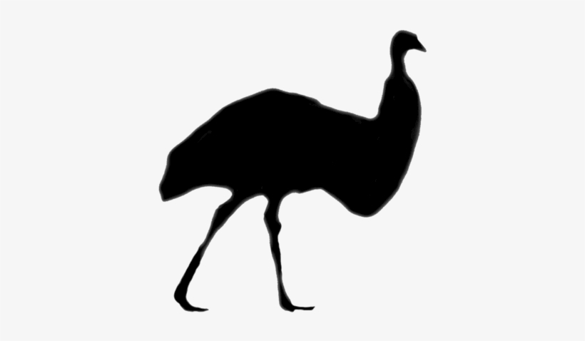 Emu Farming In India - Flightless Bird, transparent png