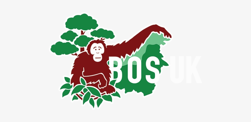 Borneo Orangutan Survival Uk - Borneo Orangutan Survival Foundation, transparent png