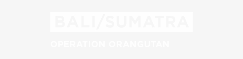 Here - Sumatra, transparent png