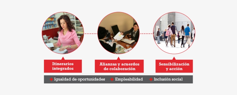 Competencias Laborales Para Mejorar La Empleabilidad - Hinamatsuri, transparent png