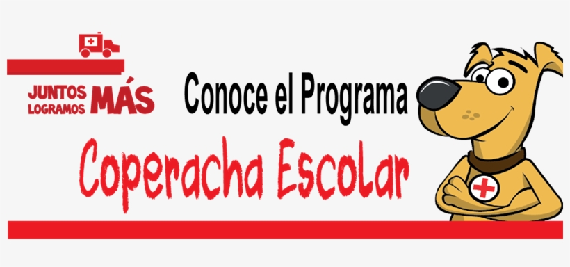 Programa Coperacha Escolar - Circle, transparent png