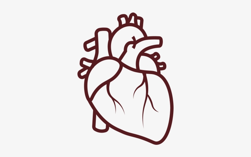Illustration Of A Heart - Coronary Artery Disease Icon, transparent png