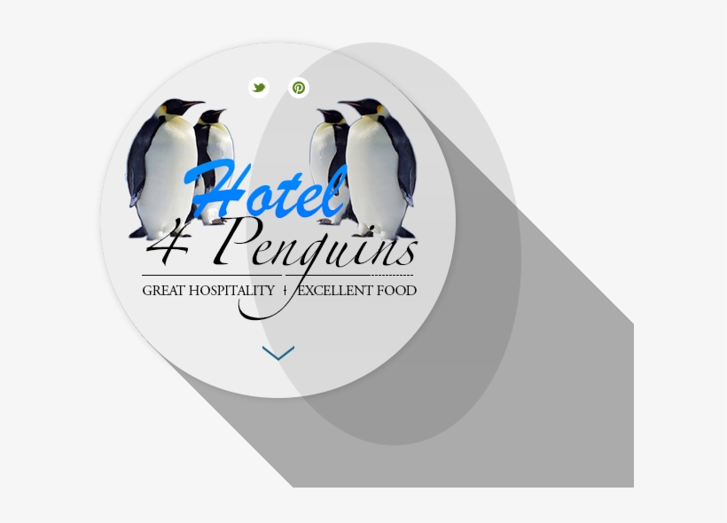 Hotel 4 Penguins - Placido Domingo/ Jose Carreras/ +: Zeit Für Tenöre, transparent png