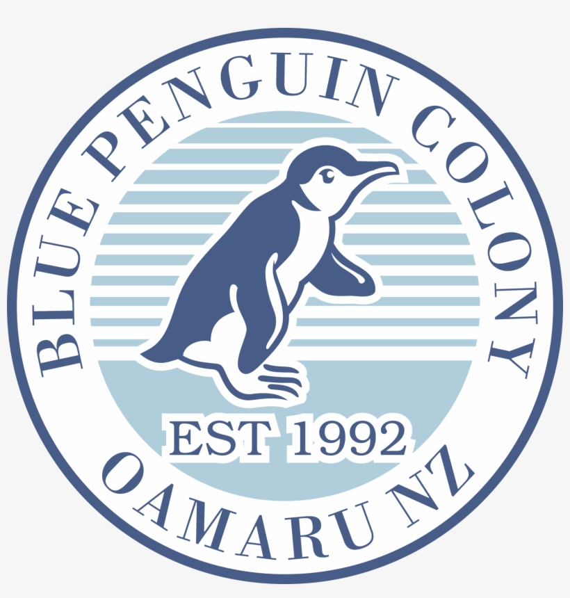 Oamaru Blue Penguin - Casuarina Primary School, transparent png