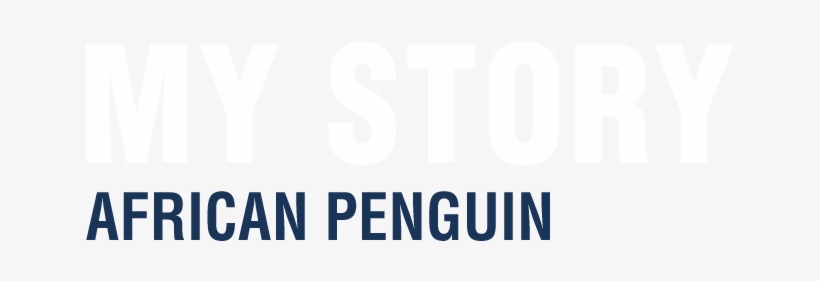 African Penguin & Seabird Sanctuary - Time To Kill Chris Cooper, transparent png