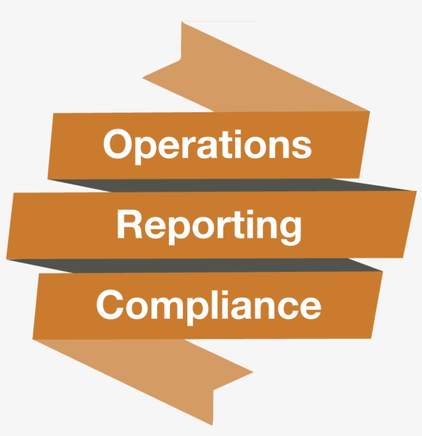 What Are The 3 Objectives Of Coso - Drug Policy, transparent png