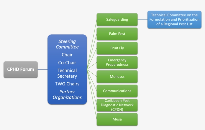 Objectives And Organisation - Organization, transparent png