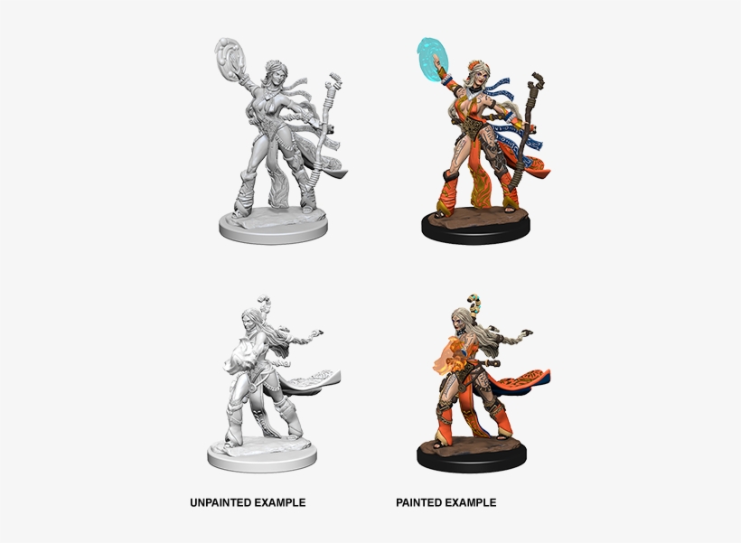 Human Female Sorcerer - Female Human Sorcerer Miniature, transparent png