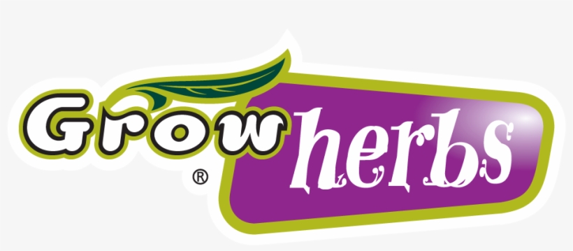 Growherbs Are A Range Of The Most Popular Herbs In - Chamomile, transparent png
