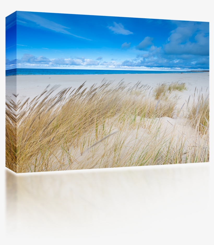 Wild Grass Sea Shore - Wireless Speaker, transparent png