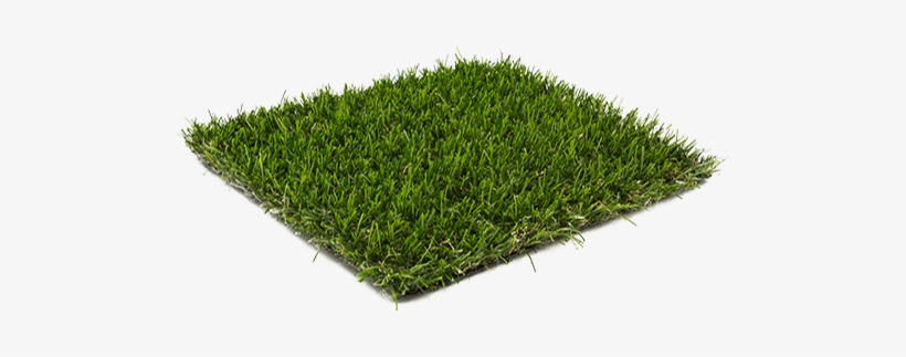 Lawn-grass - Lawn, transparent png