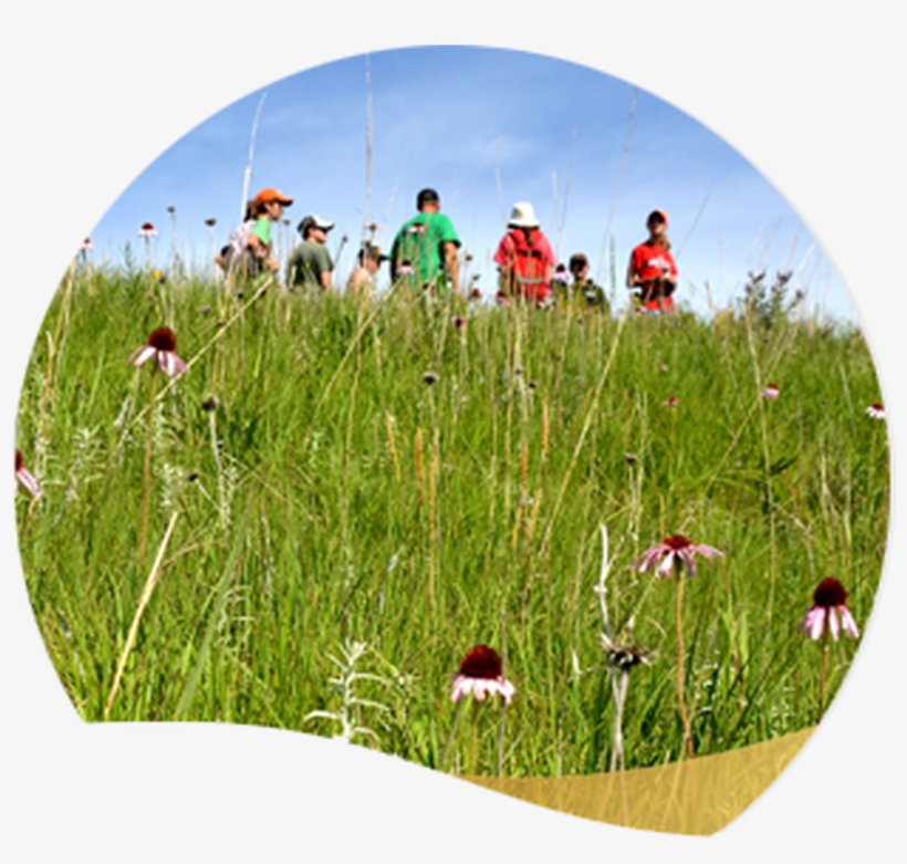 Photo Of Membership Package - Photograph, transparent png