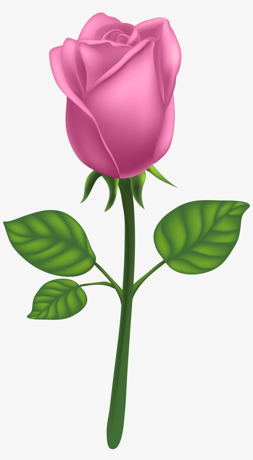 Purple Long Stem Rose Png, transparent png