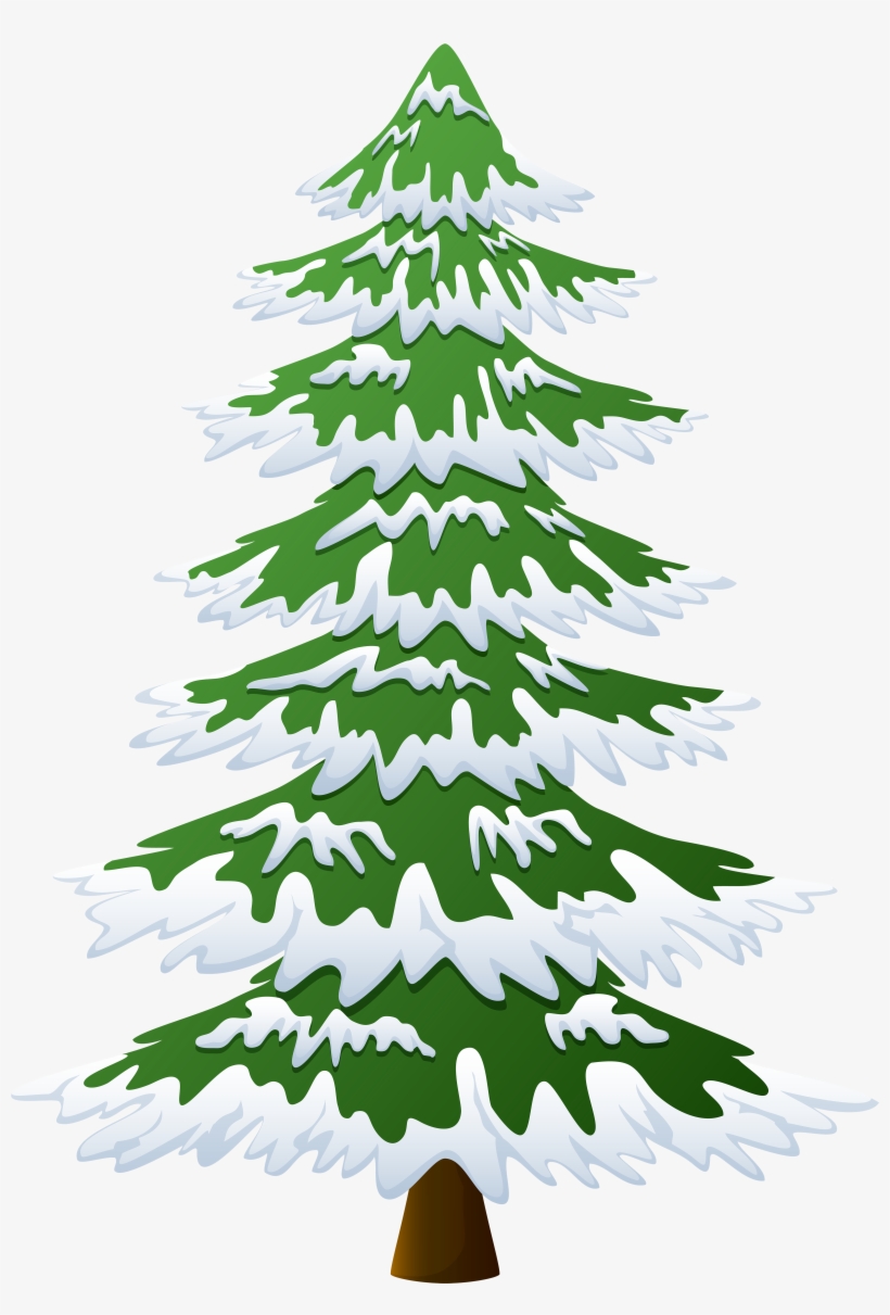 Pinheiro Com Neve Desenho, transparent png