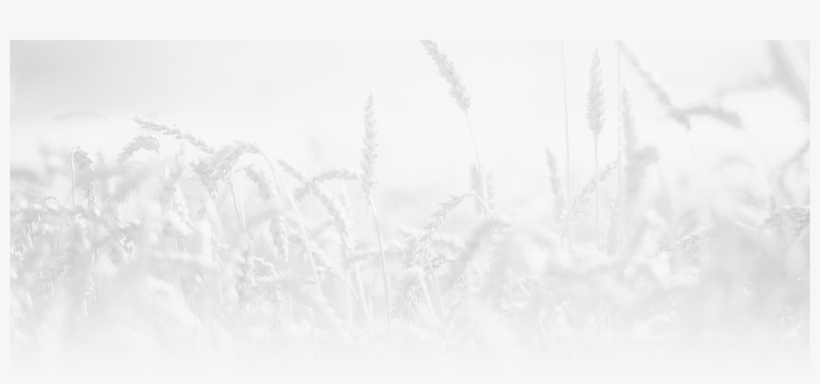 27 Jun 2017 - After A Hard Day On The Farm, transparent png