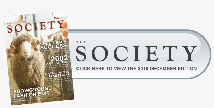 Society Download Now Button - Society, transparent png