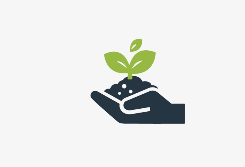 Business Growth Icon Regreen 2016 12 05t09 - Plant Growth Icon Png, transparent png