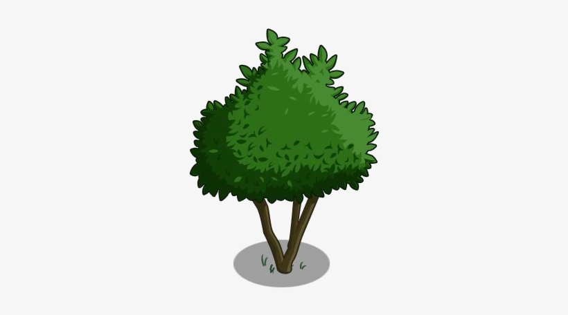 Avocado Tree 00-icon - Gem Fruit, transparent png