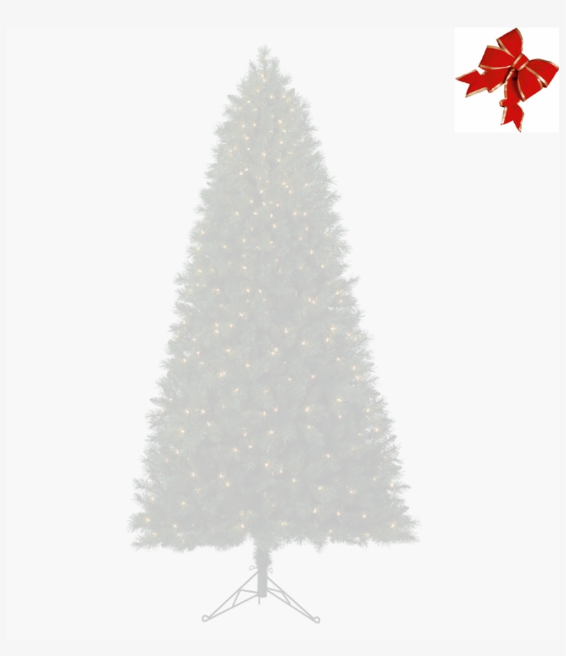 Tree Background - Oro Gold 24k Bio-brightening Dark Spot Solution - 0.5, transparent png